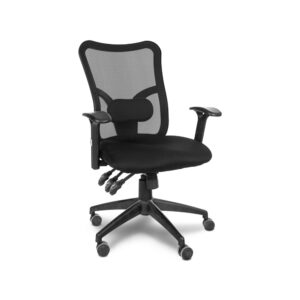 בופאלו בוכנה איקס