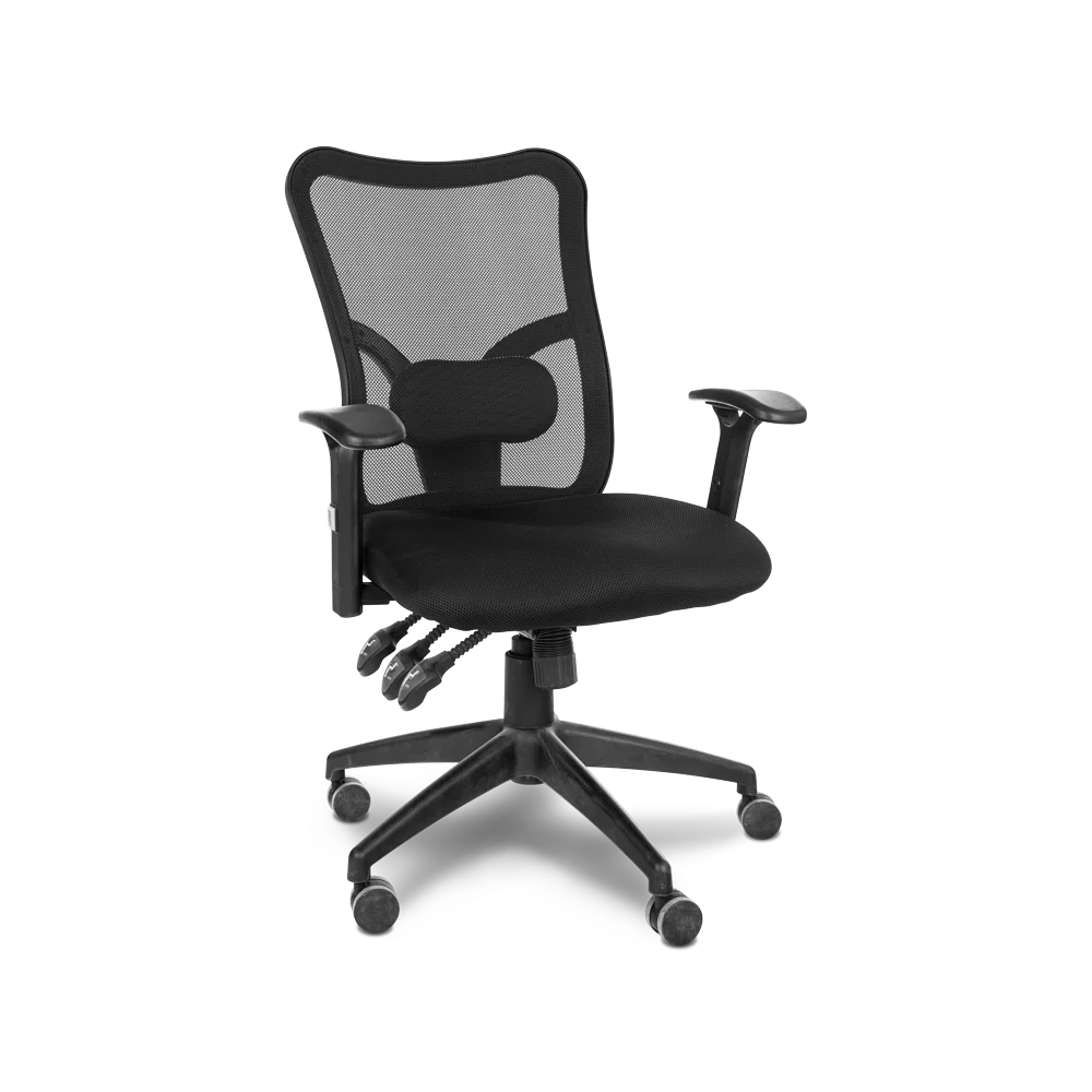 בופאלו בוכנה איקס