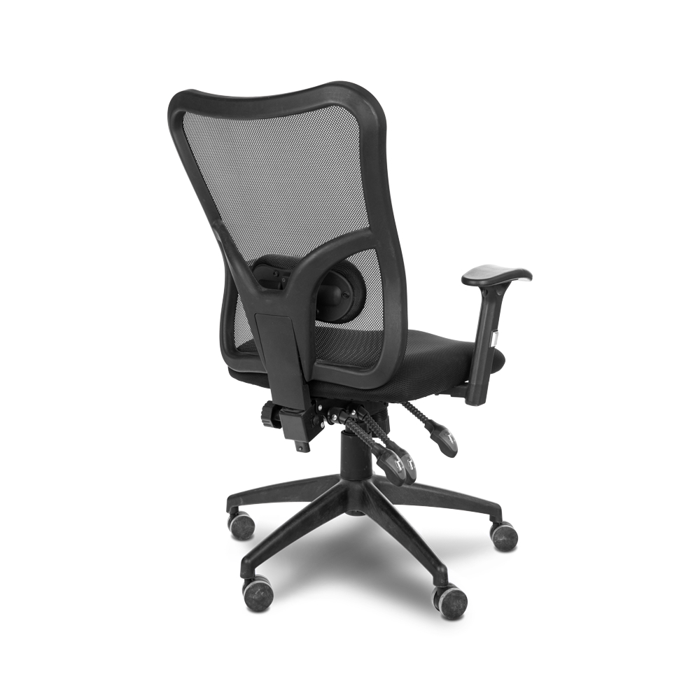 בופאלו בוכנה איקס