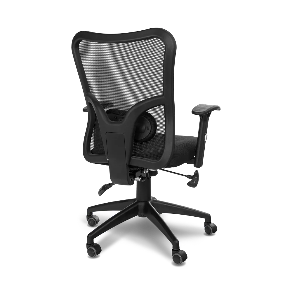 בופאלו בוכנה