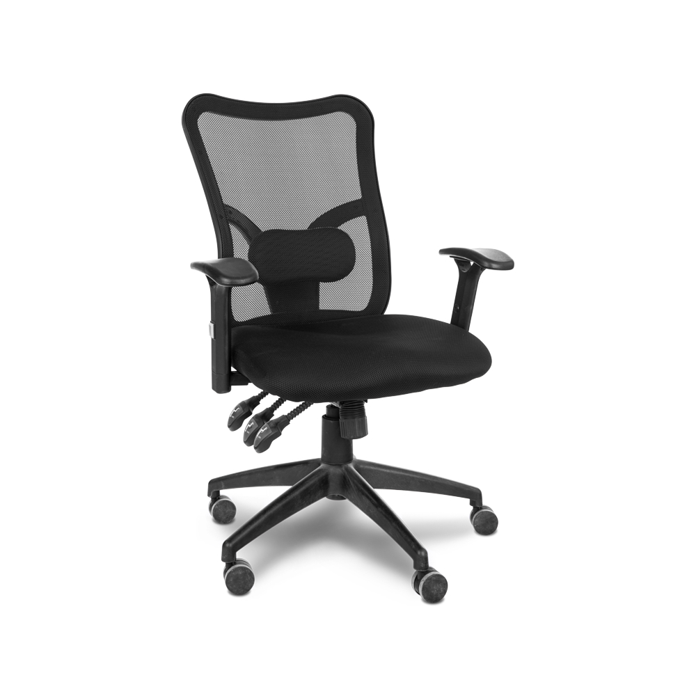 בופאלו בוכנה איקס