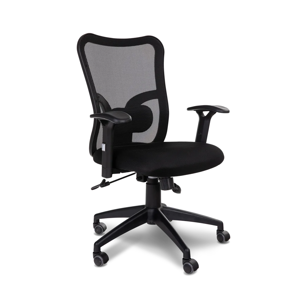 בופאלו בוכנה