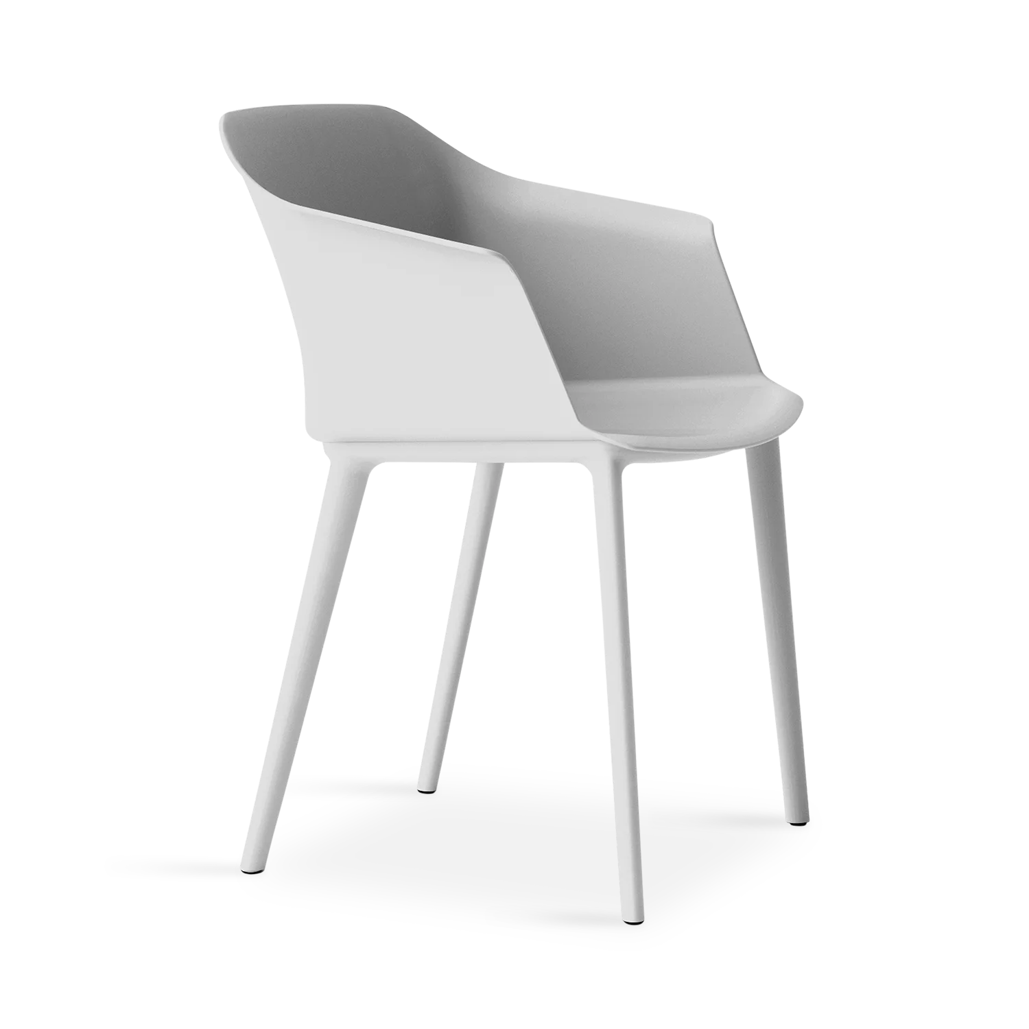 ⁦מישל⁩ – תמונה ⁦6⁩