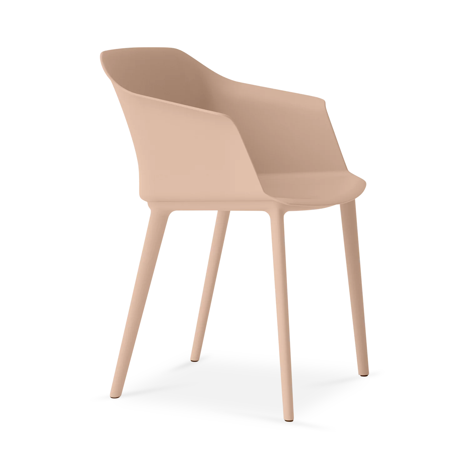 ⁦מישל⁩ – תמונה ⁦8⁩