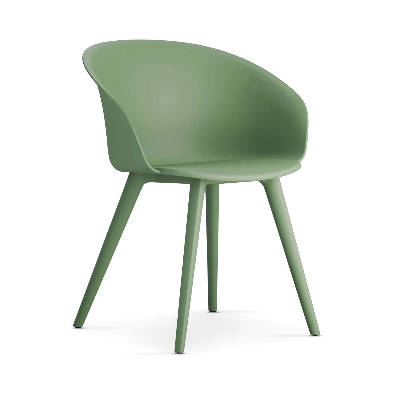 ⁦פקאן⁩ – תמונה ⁦3⁩